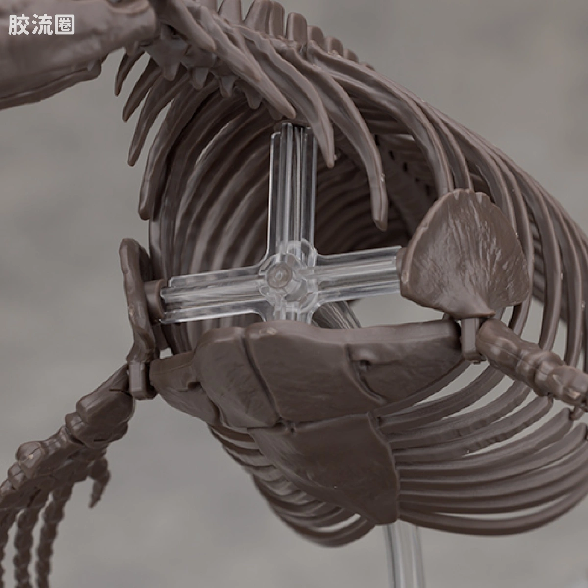 万代综合拼装模型系列 Imaginary Skeleton系列 沧龙 - 图片